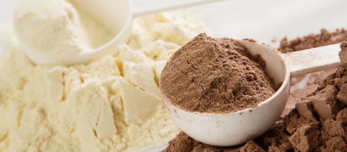 protein