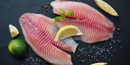 tilapia para ficar gigante