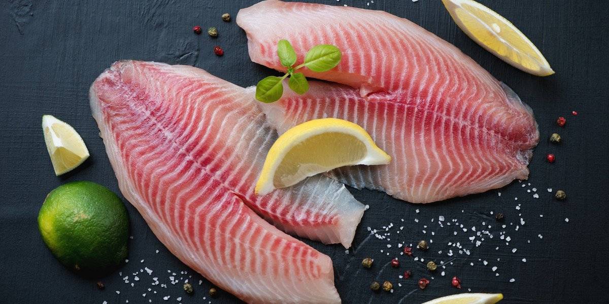 Como uma simples tilápia pode te ajudar a ficar gigante?