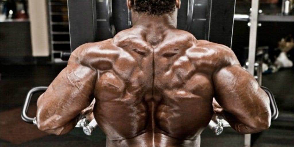 kai greene - exercicios trapezio treino