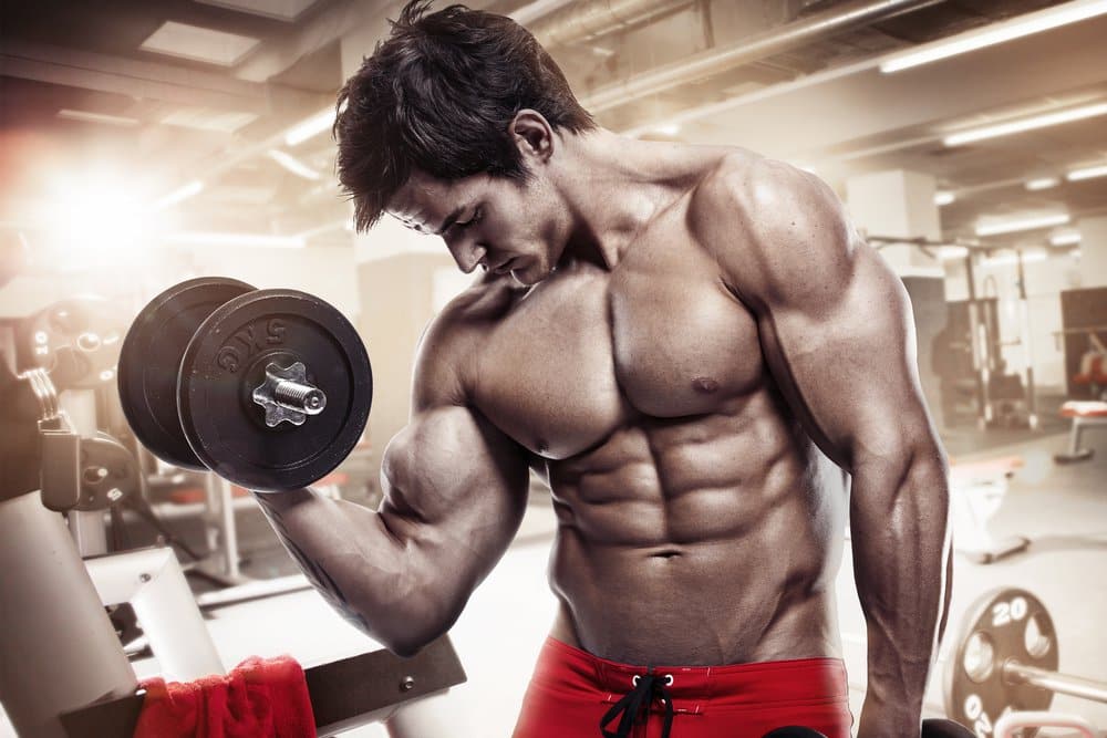 Top Training - Conhecendo sobre Bulking e Cutting O bulking e o