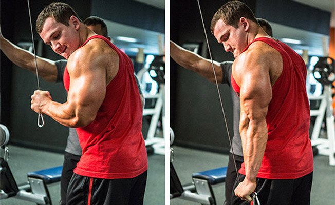 tricep pulls tricep pulls