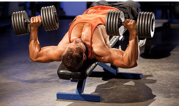 35 Melhores exercícios para cada grupo muscular segundo a ciência