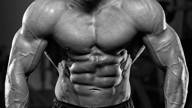 Cutting e bulking: quais as diferenças e a melhor abordagem para seu corpo?  - Strongest Supplements