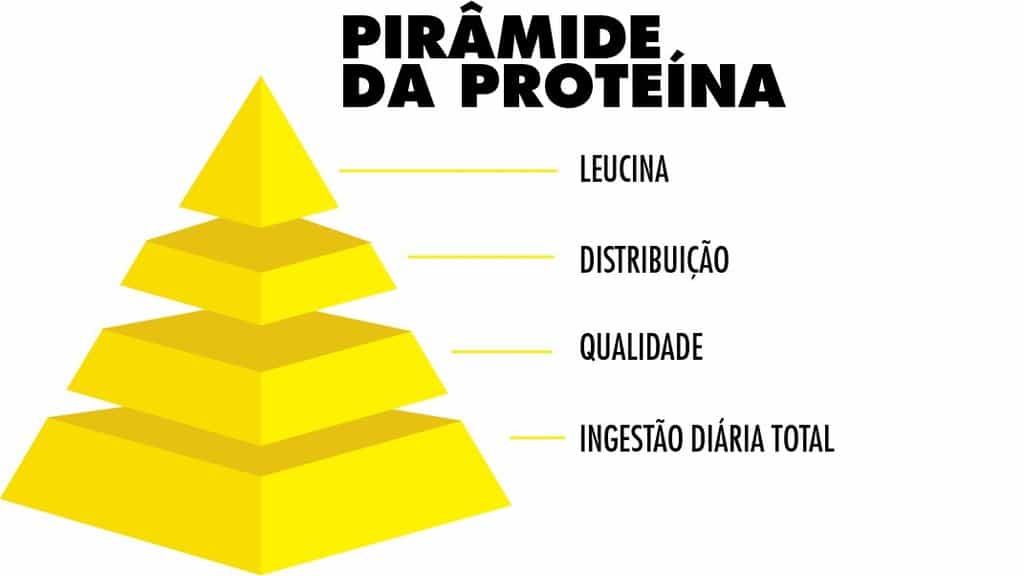 Pir&acirc;mide da Prote&iacute;na': ela vai te ajudar a aproveitar melhor este nutriente