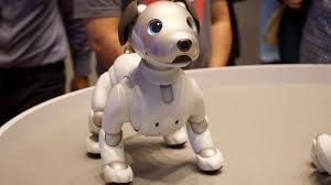 sony aibo