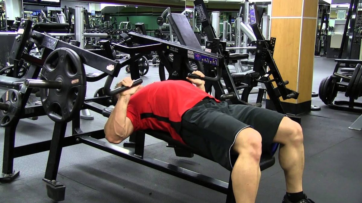 hammer strength